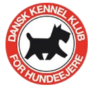 Mops hvalpe med DKK stambog
